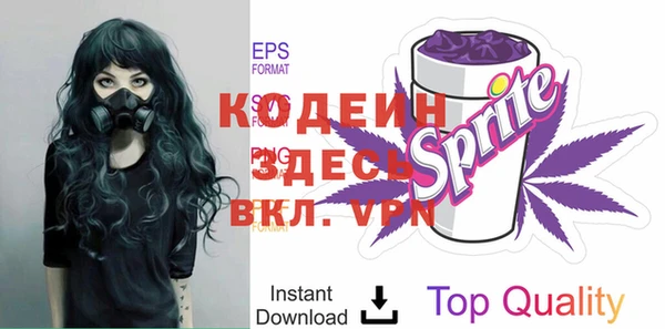 индика Наволоки