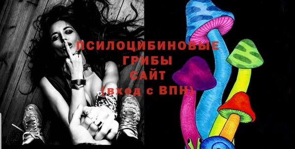 индика Наволоки