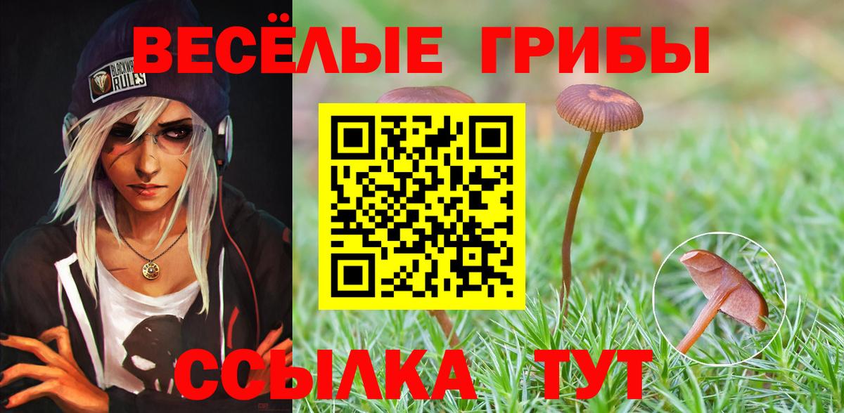 Псилоцибиновые грибы GOLDEN TEACHER Югорск