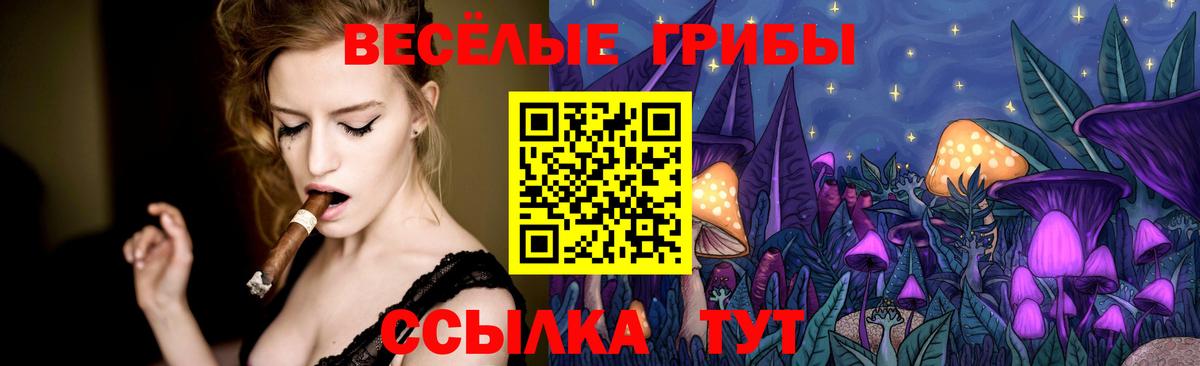 Псилоцибиновые грибы Psilocybe  Вход с VPN  Югорск 